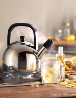 Zwilling Plus Fluitketel Rond 1,6 Liter Rvs 7 Zwilling Plus Fluitketel Rond 1,6 Liter Rvs -Keukenbenodigdheden Winkel zwilling plus fluitketel rond 1 5 liter rvs